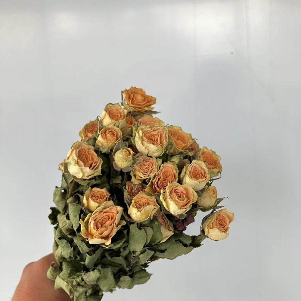 Rosas naturales preservadas, r - Resin Craft Ideas reseña y precio