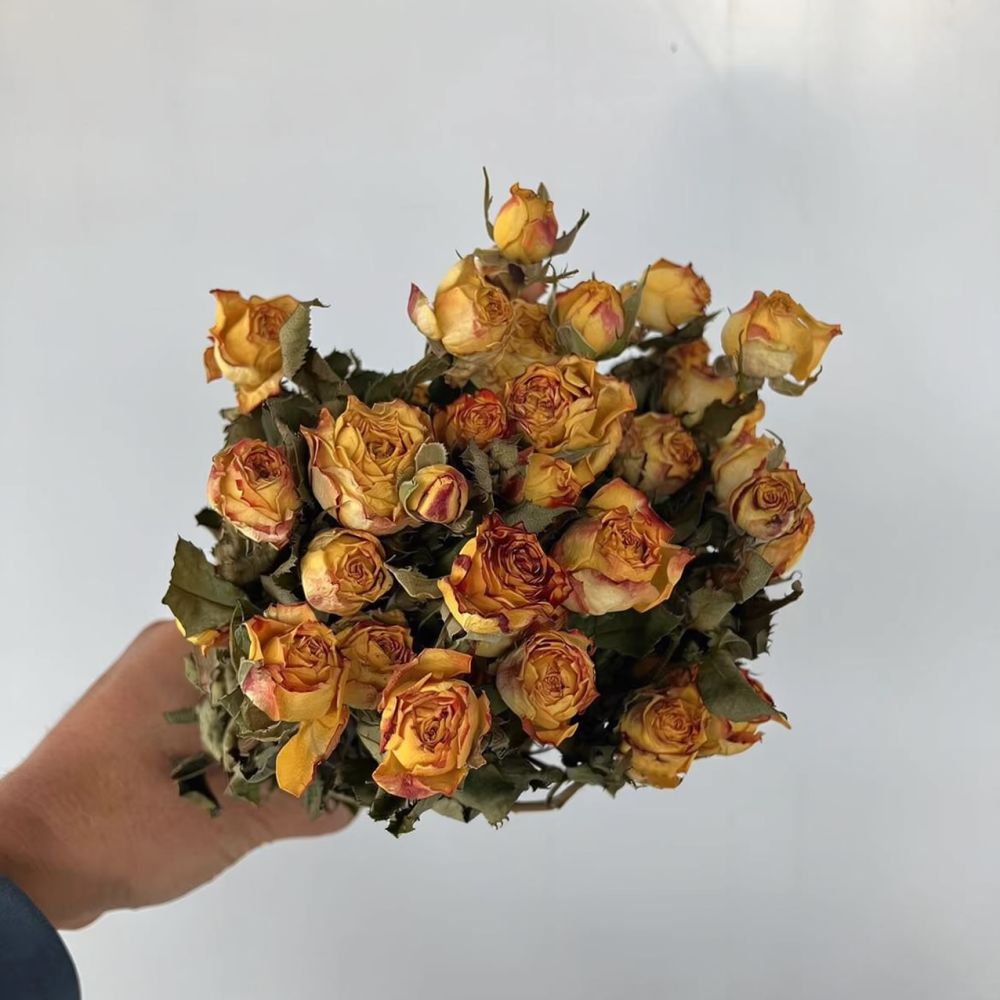 Rosas naturales preservadas, r - Resin Craft Ideas reseña y precio